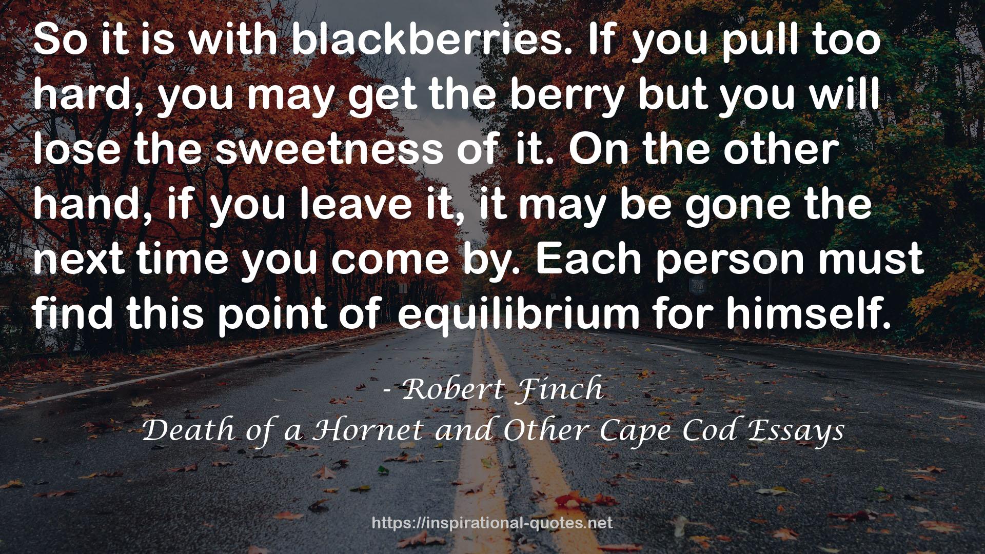 Death of a Hornet and Other Cape Cod Essays QUOTES
