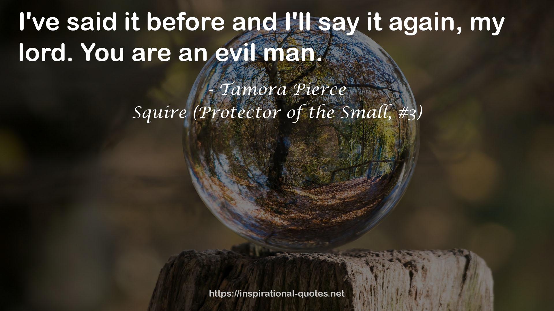 Squire (Protector of the Small, #3) QUOTES