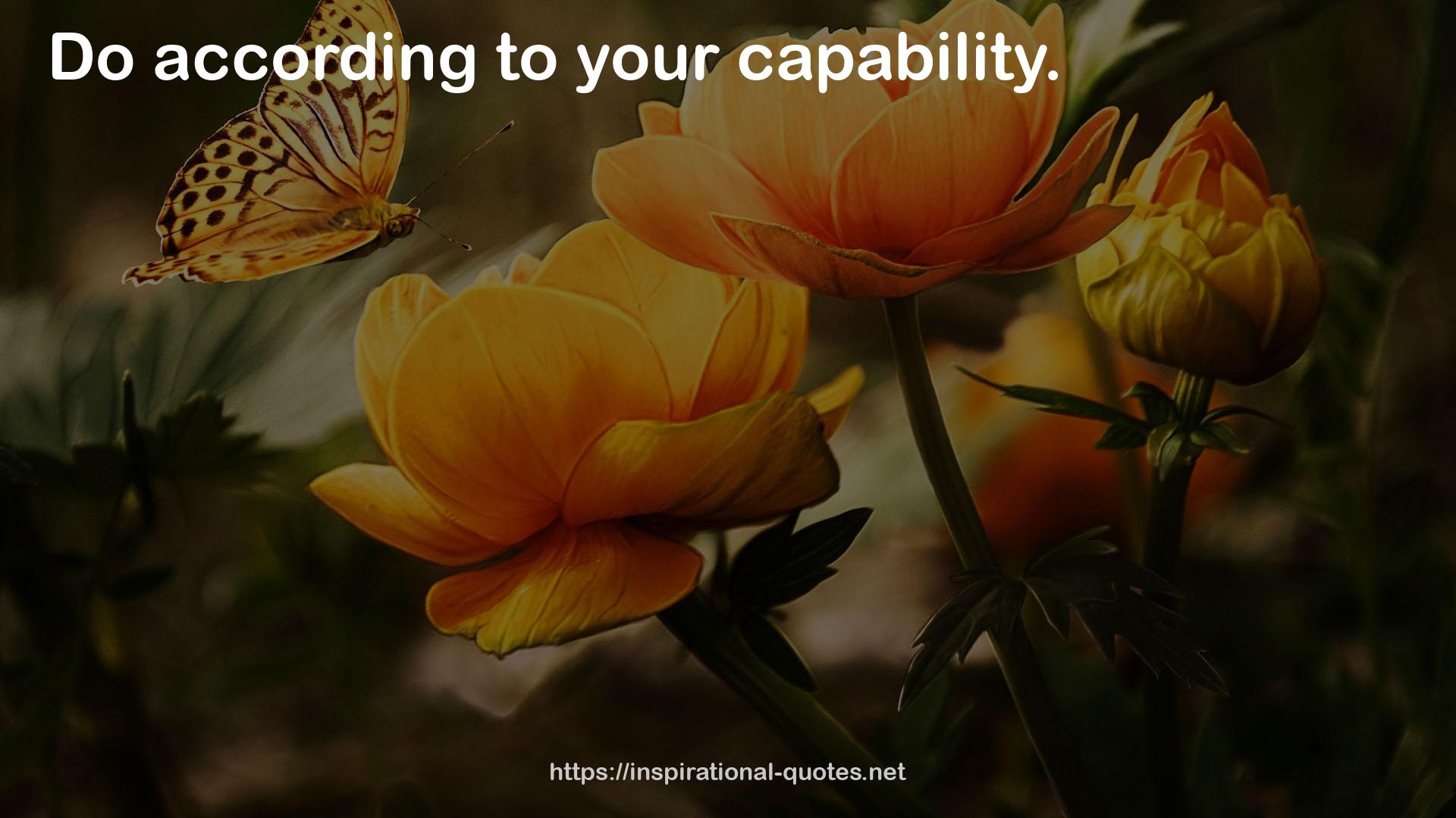 Your Capability  QUOTES