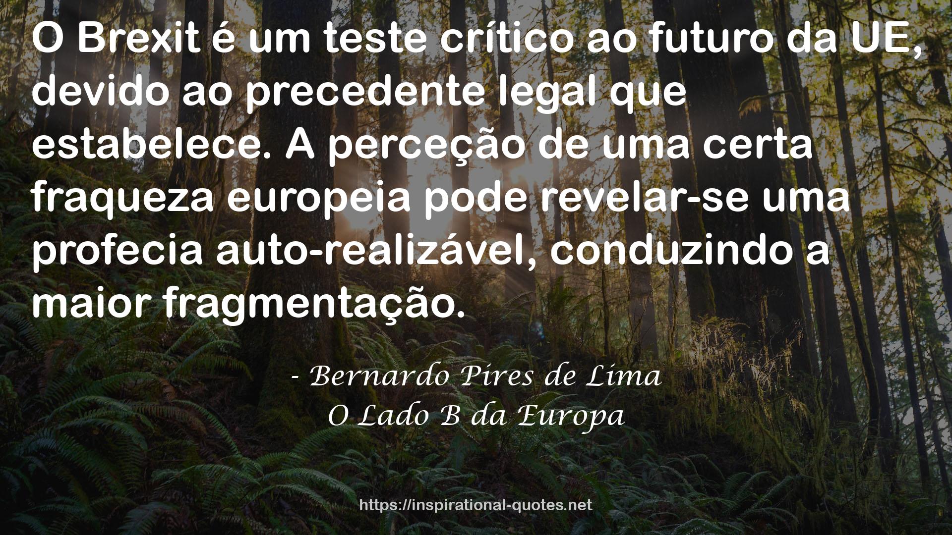 Bernardo Pires de Lima QUOTES