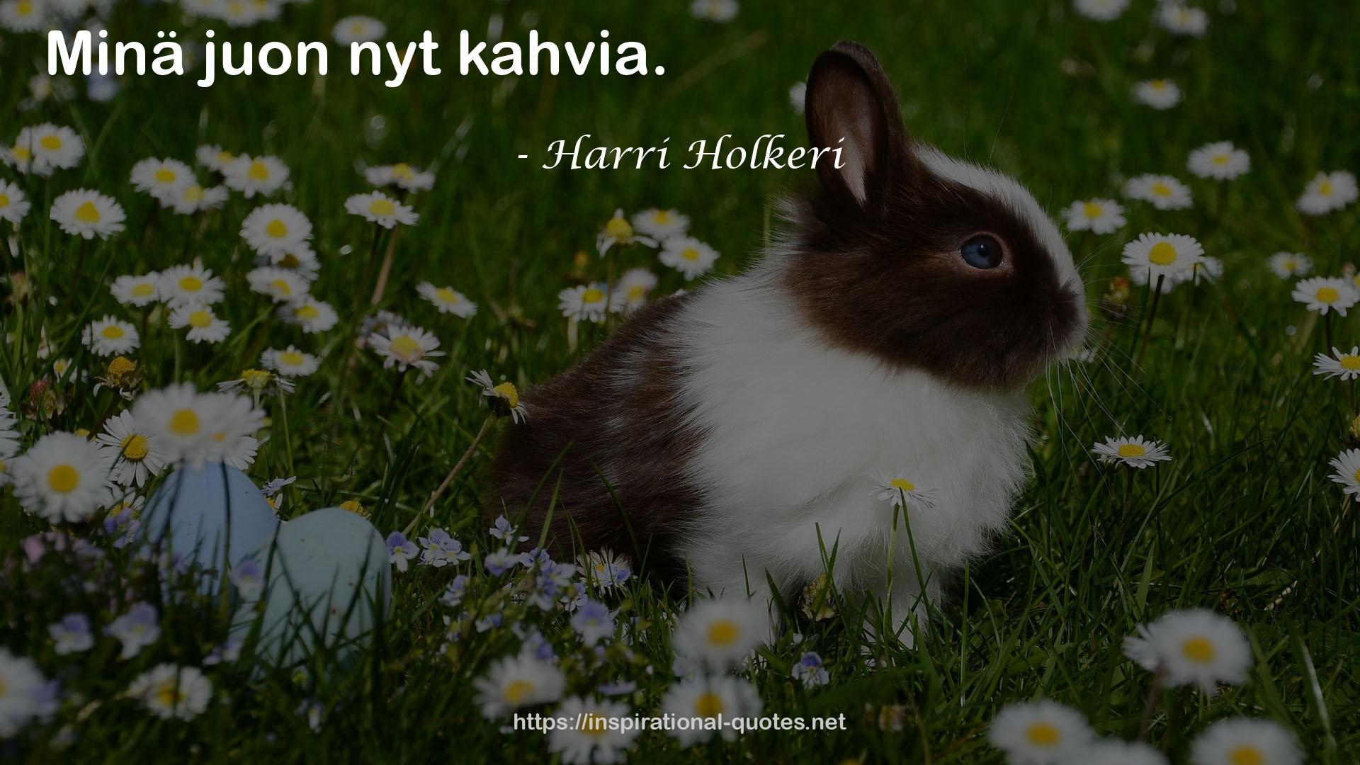 Harri Holkeri QUOTES