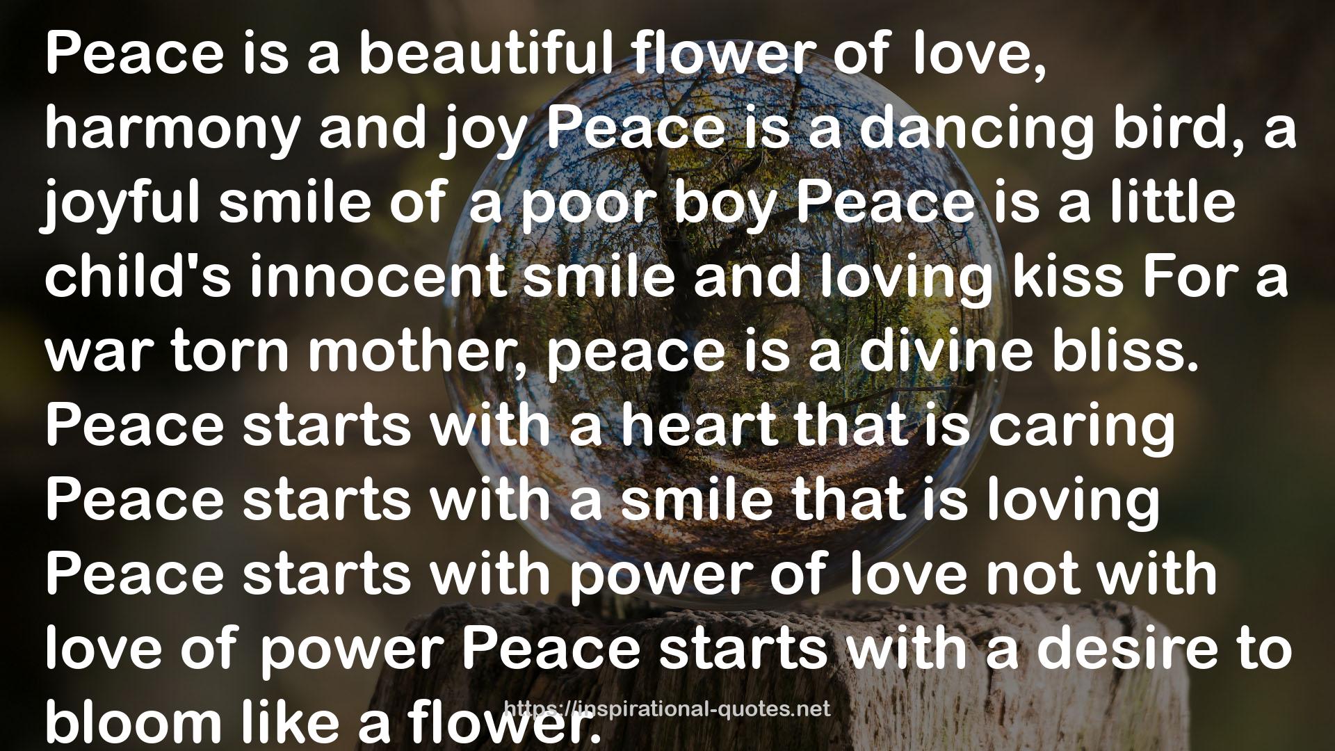 a beautiful flower  QUOTES