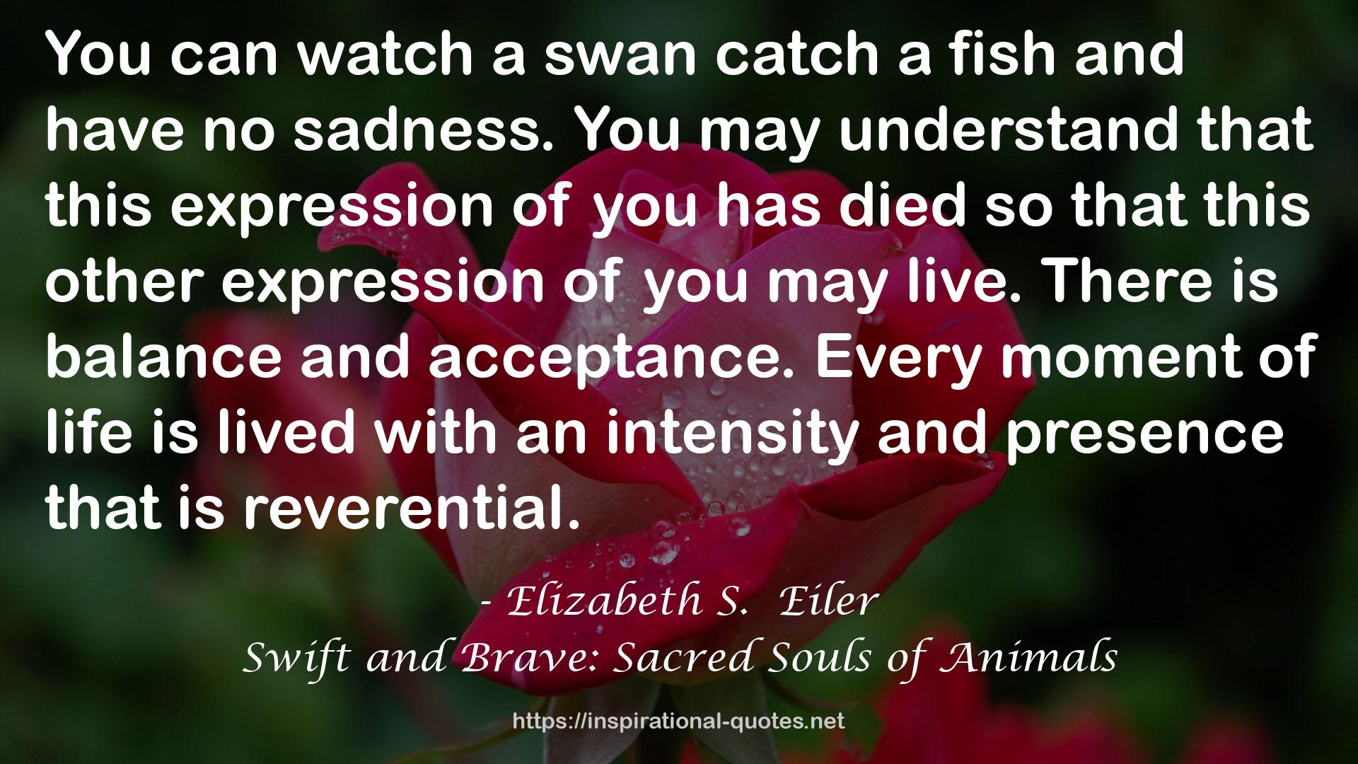 Swift and Brave: Sacred Souls of Animals QUOTES