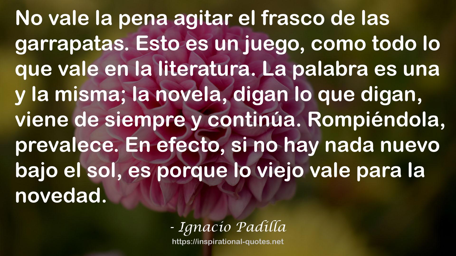 Ignacio Padilla QUOTES