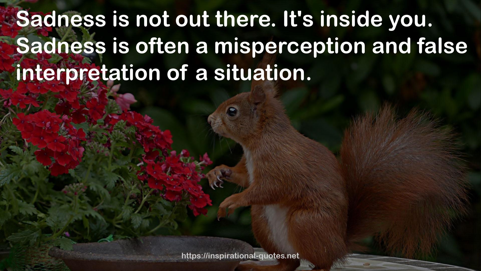 false interpretation  QUOTES