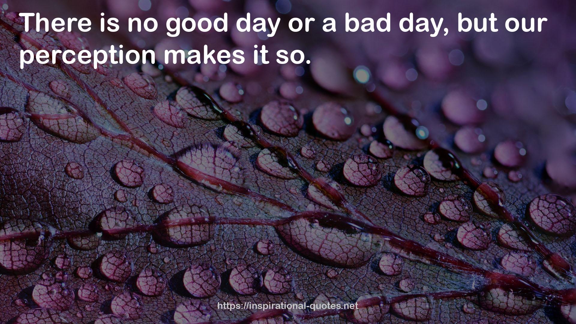 no good day  QUOTES