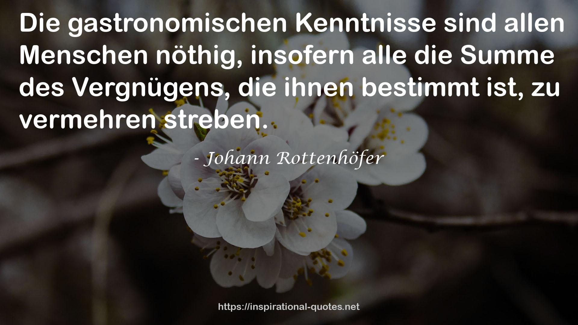 Johann Rottenhöfer QUOTES