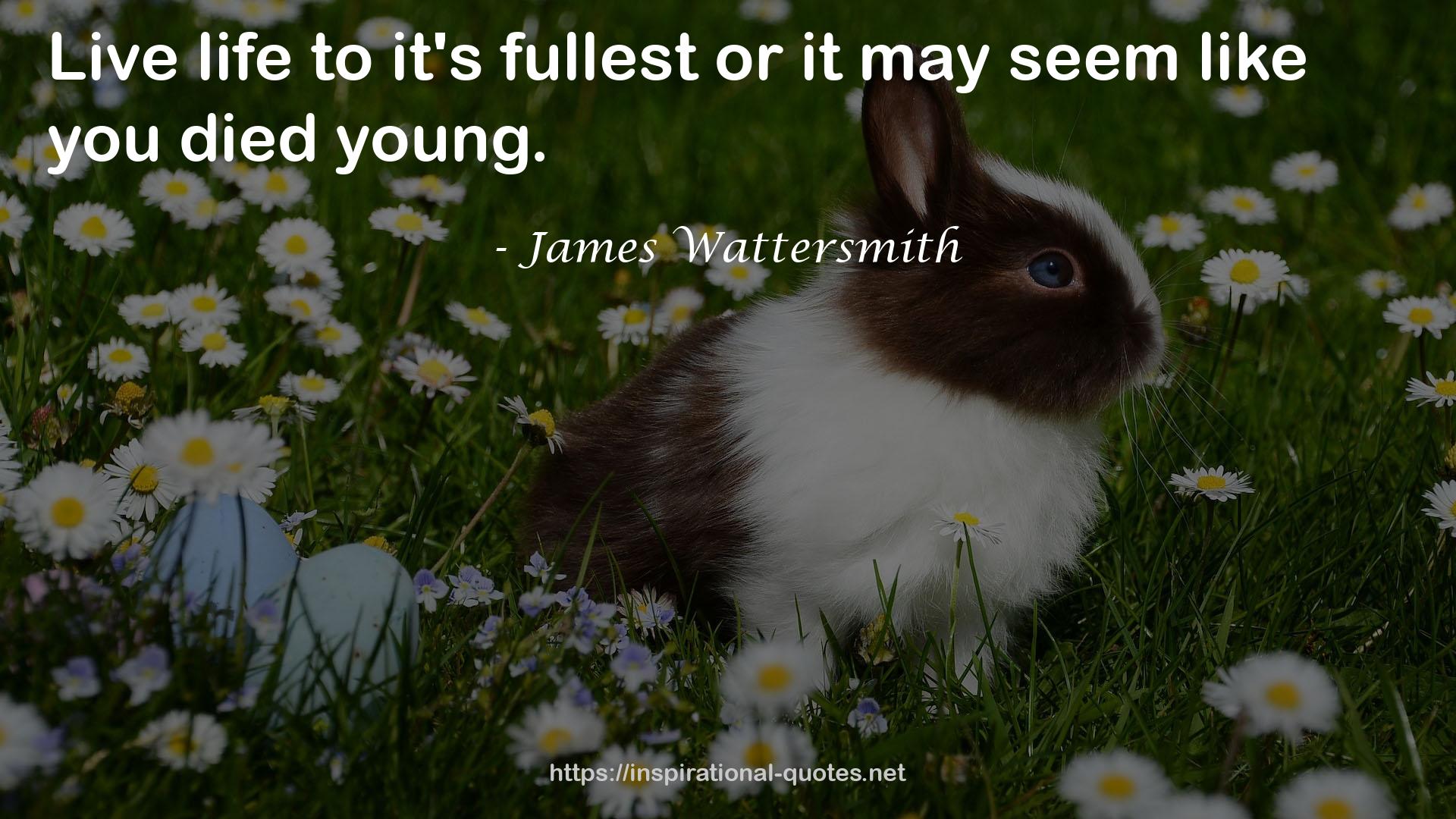 James Wattersmith QUOTES