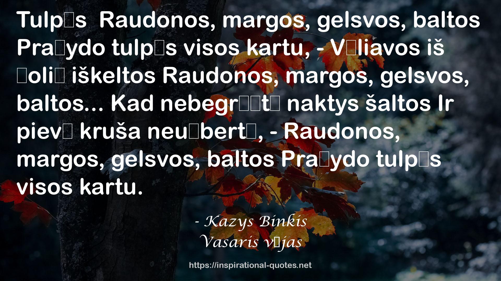 Kazys Binkis QUOTES