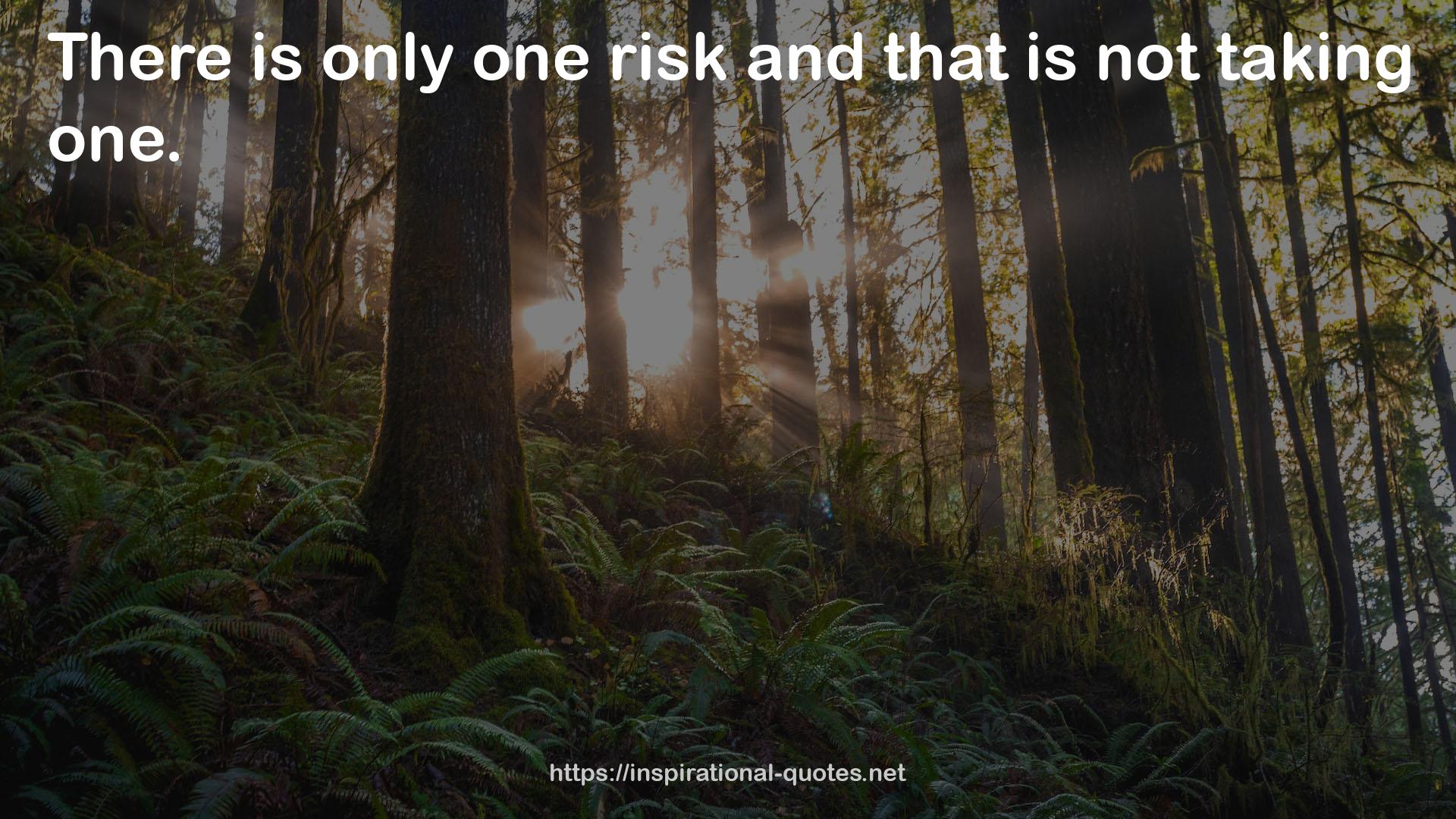 only one risk  QUOTES