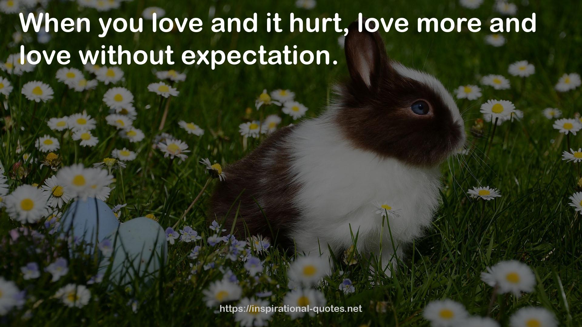 expectation  QUOTES