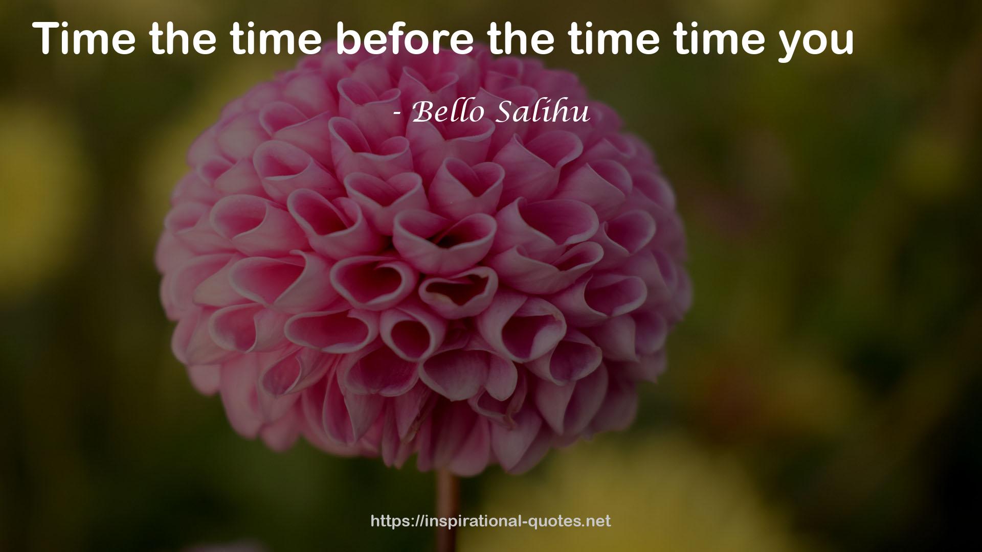 Bello Salihu QUOTES