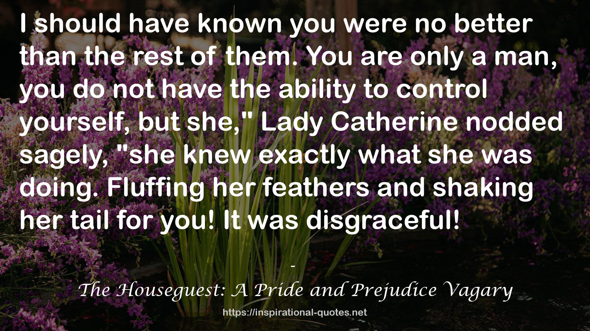 The Houseguest: A Pride and Prejudice Vagary QUOTES