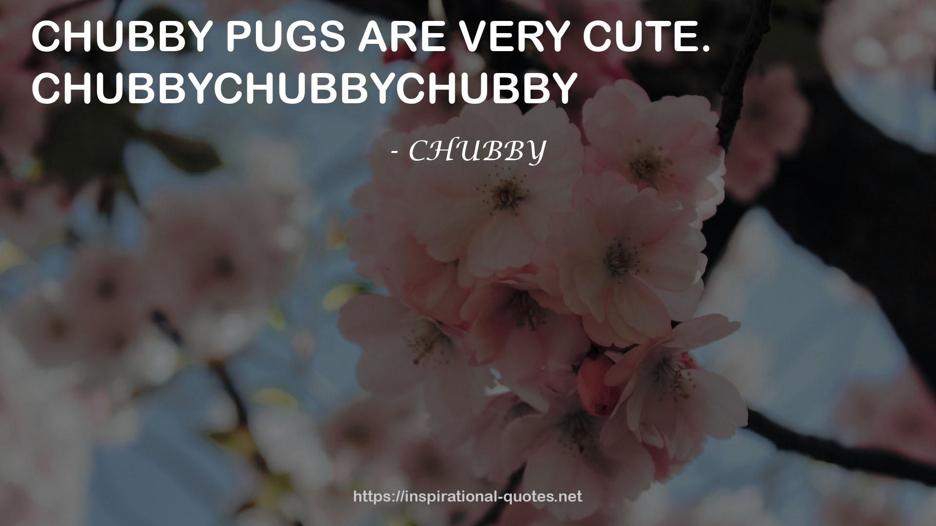 CHUBBY QUOTES