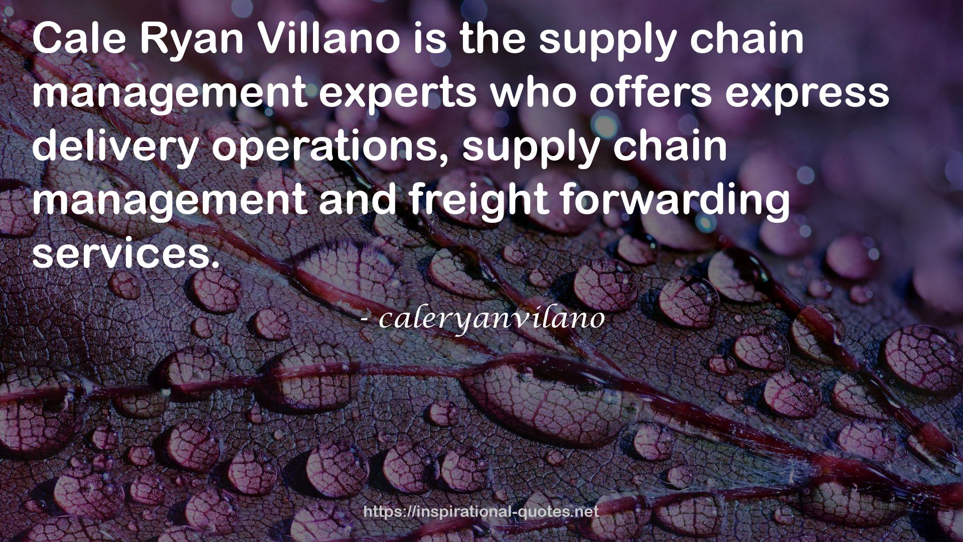 caleryanvilano QUOTES