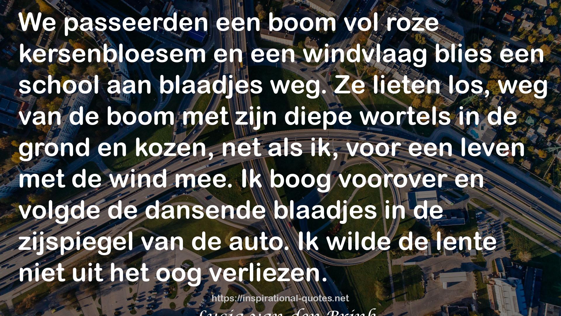 Niemand zoals hij QUOTES