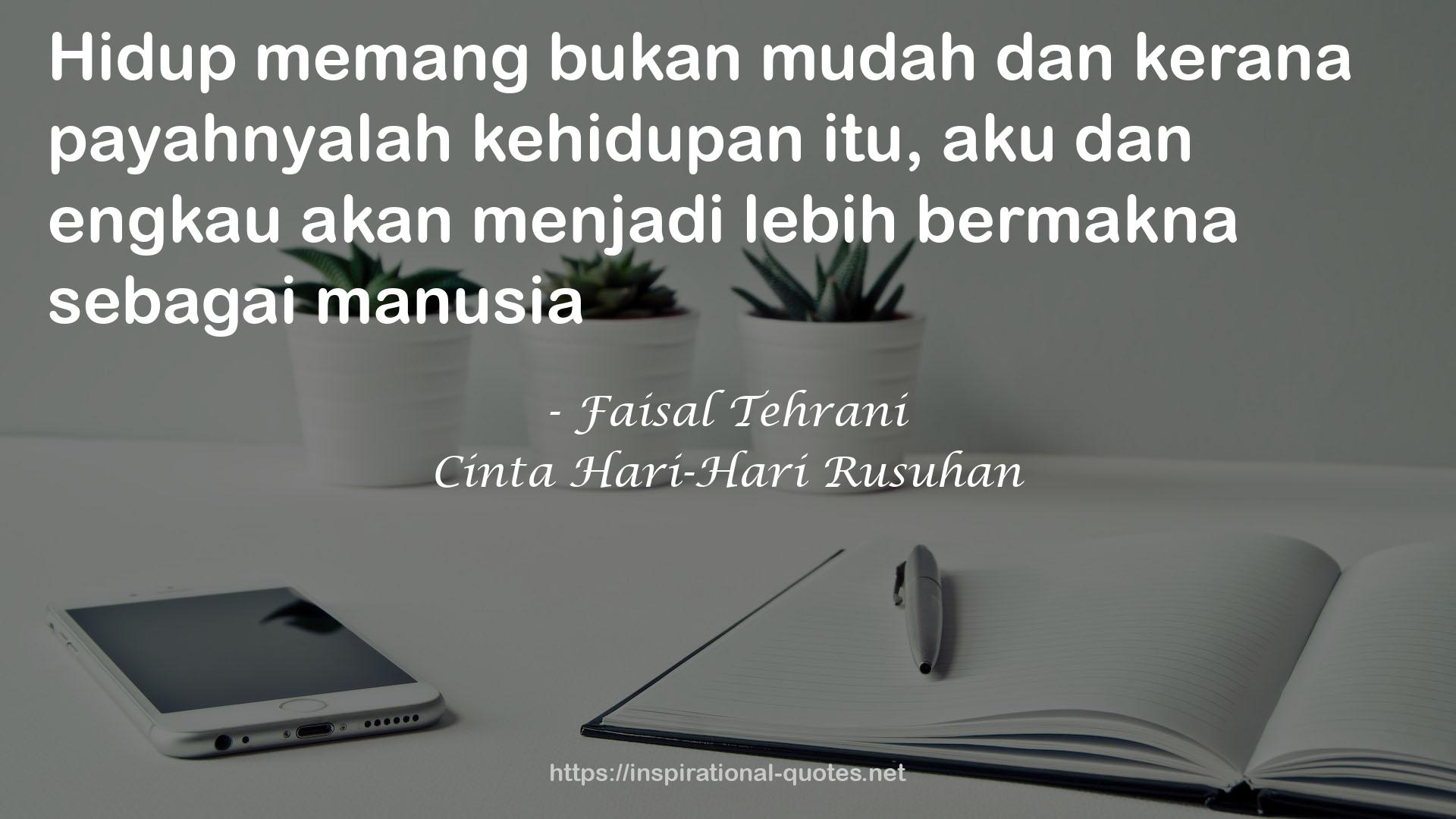 Cinta Hari-Hari Rusuhan QUOTES