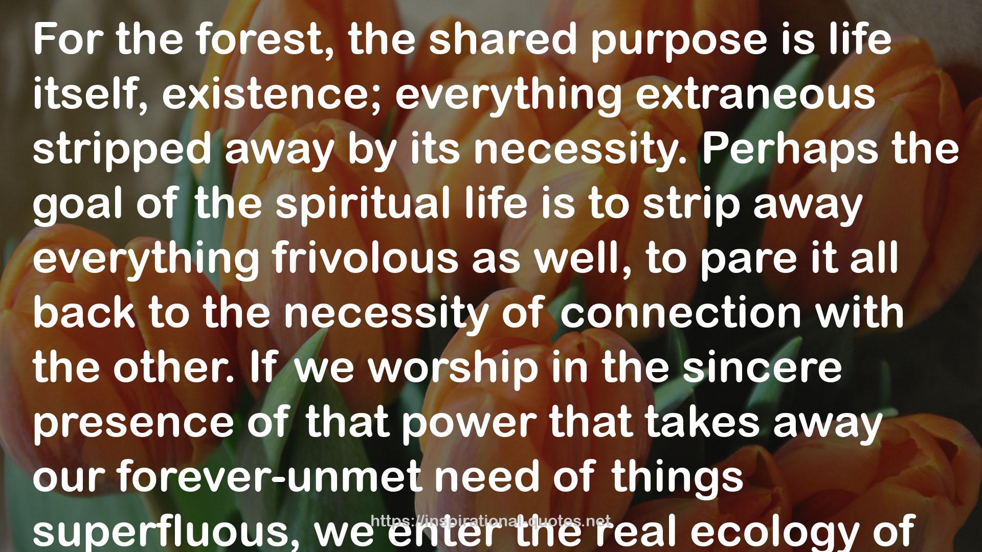 The Ecology of Quaker Meeting QUOTES