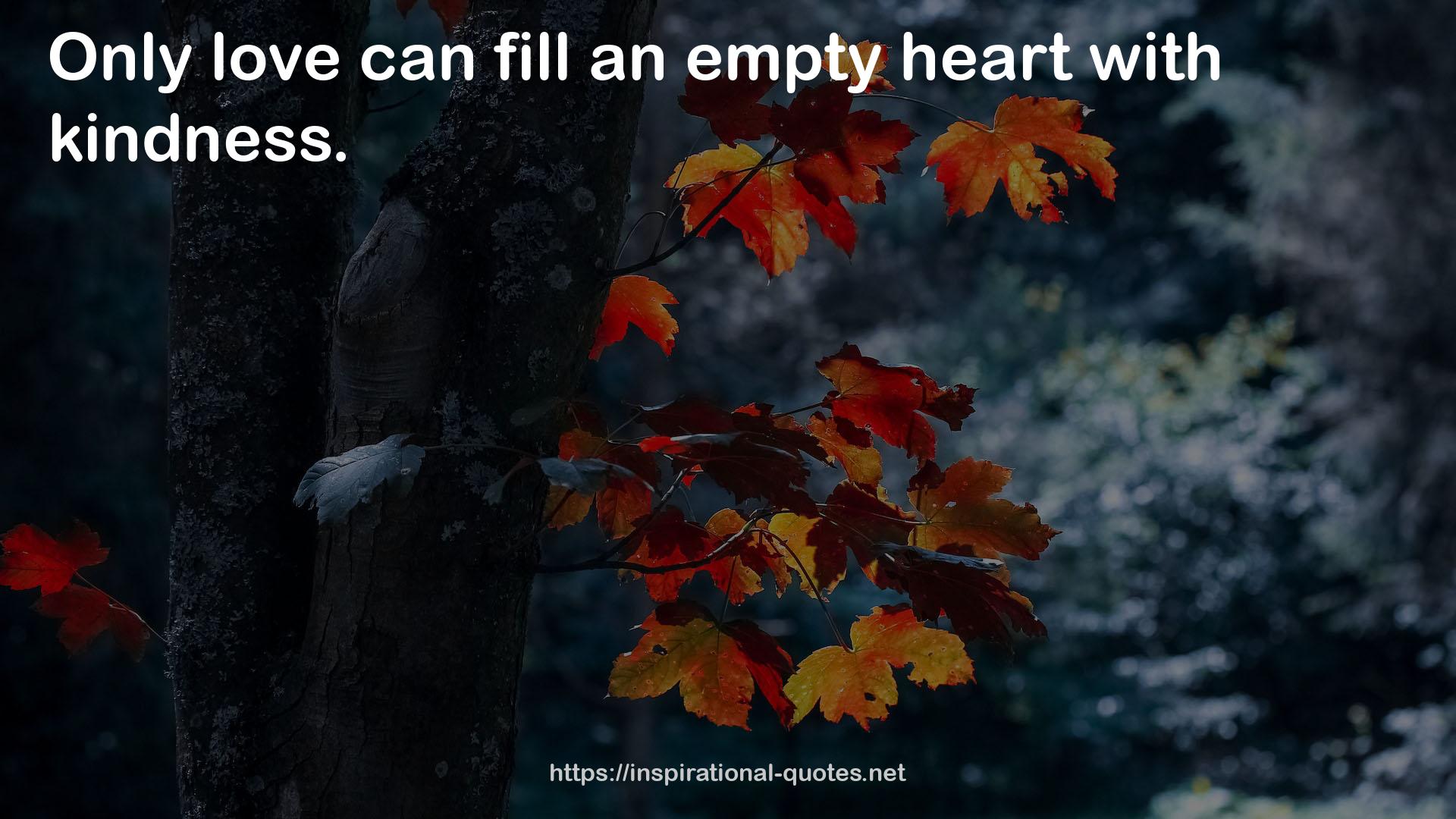 an empty heart  QUOTES