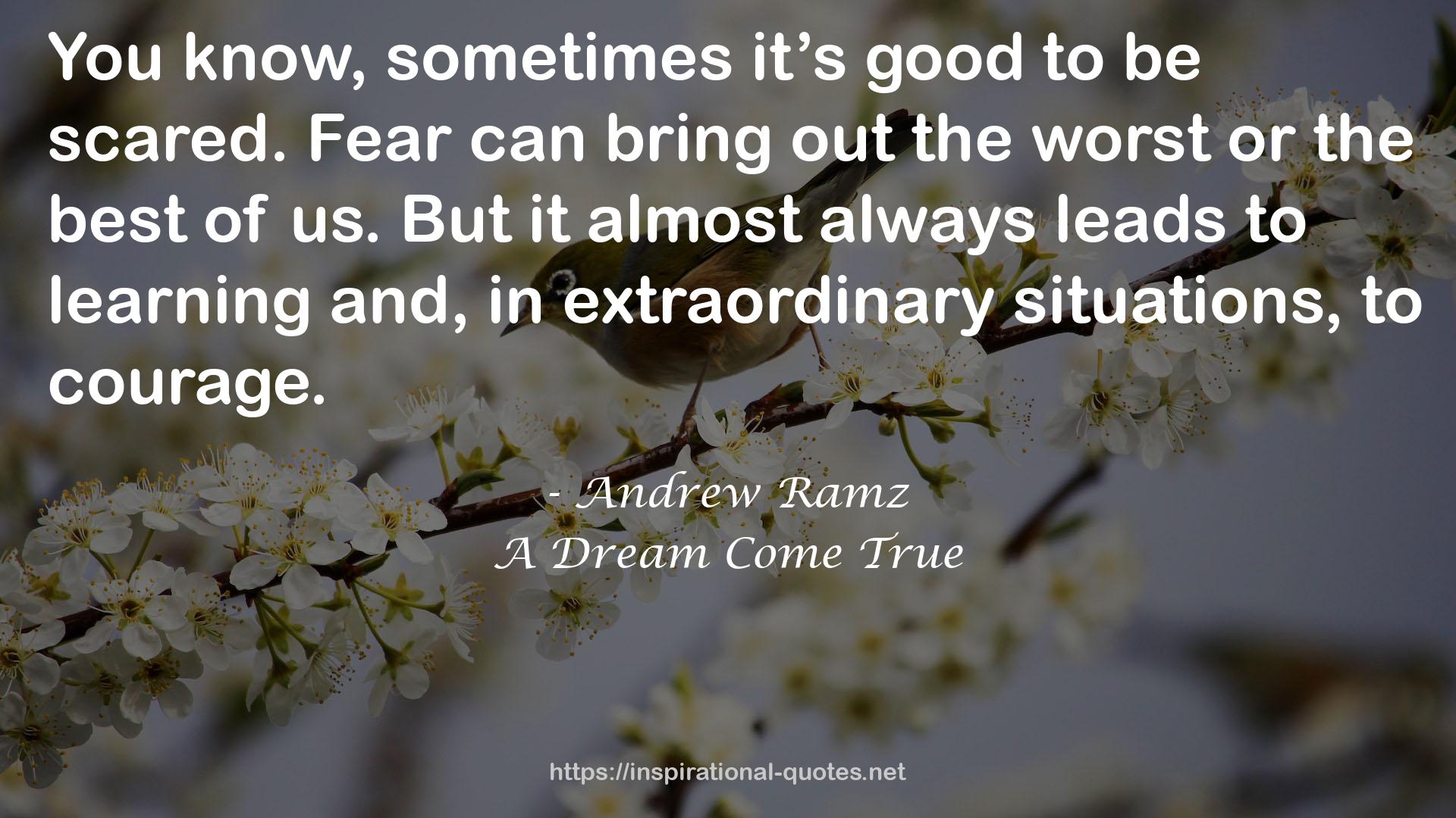 Andrew Ramz QUOTES