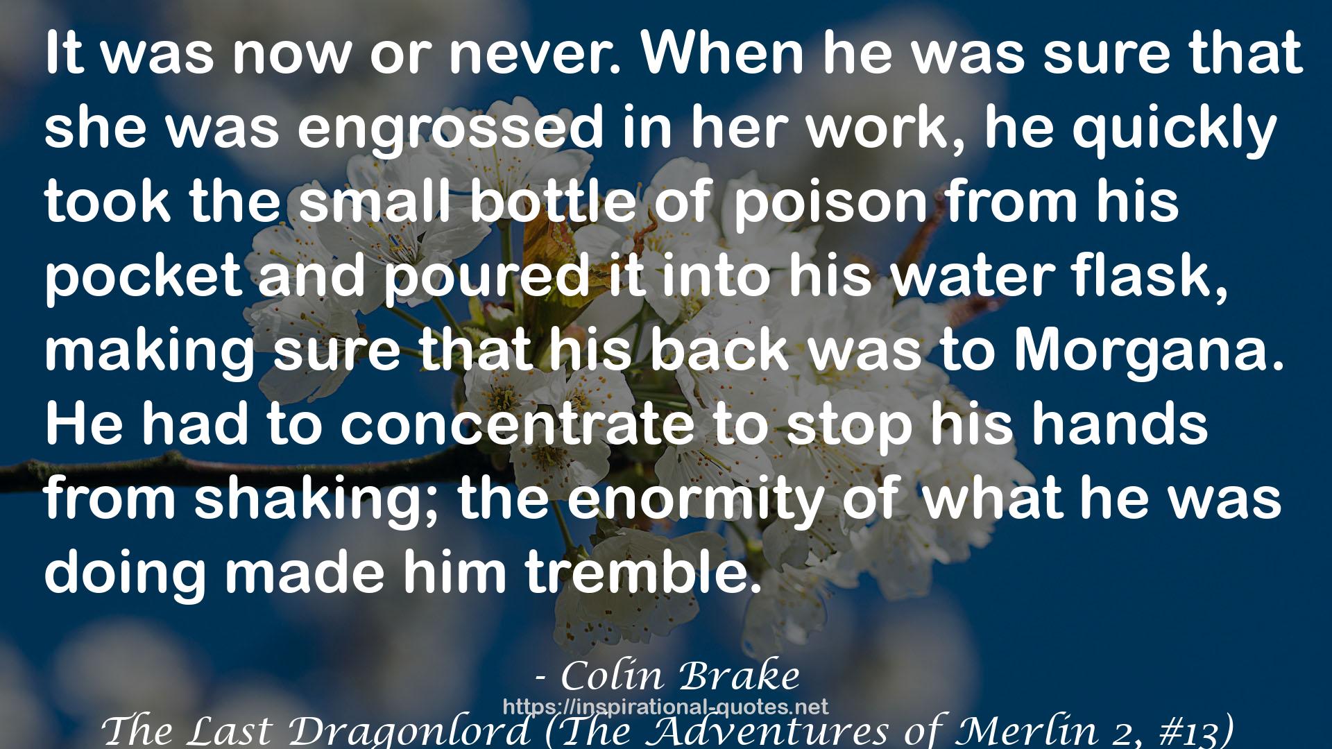 The Last Dragonlord (The Adventures of Merlin 2, #13) QUOTES