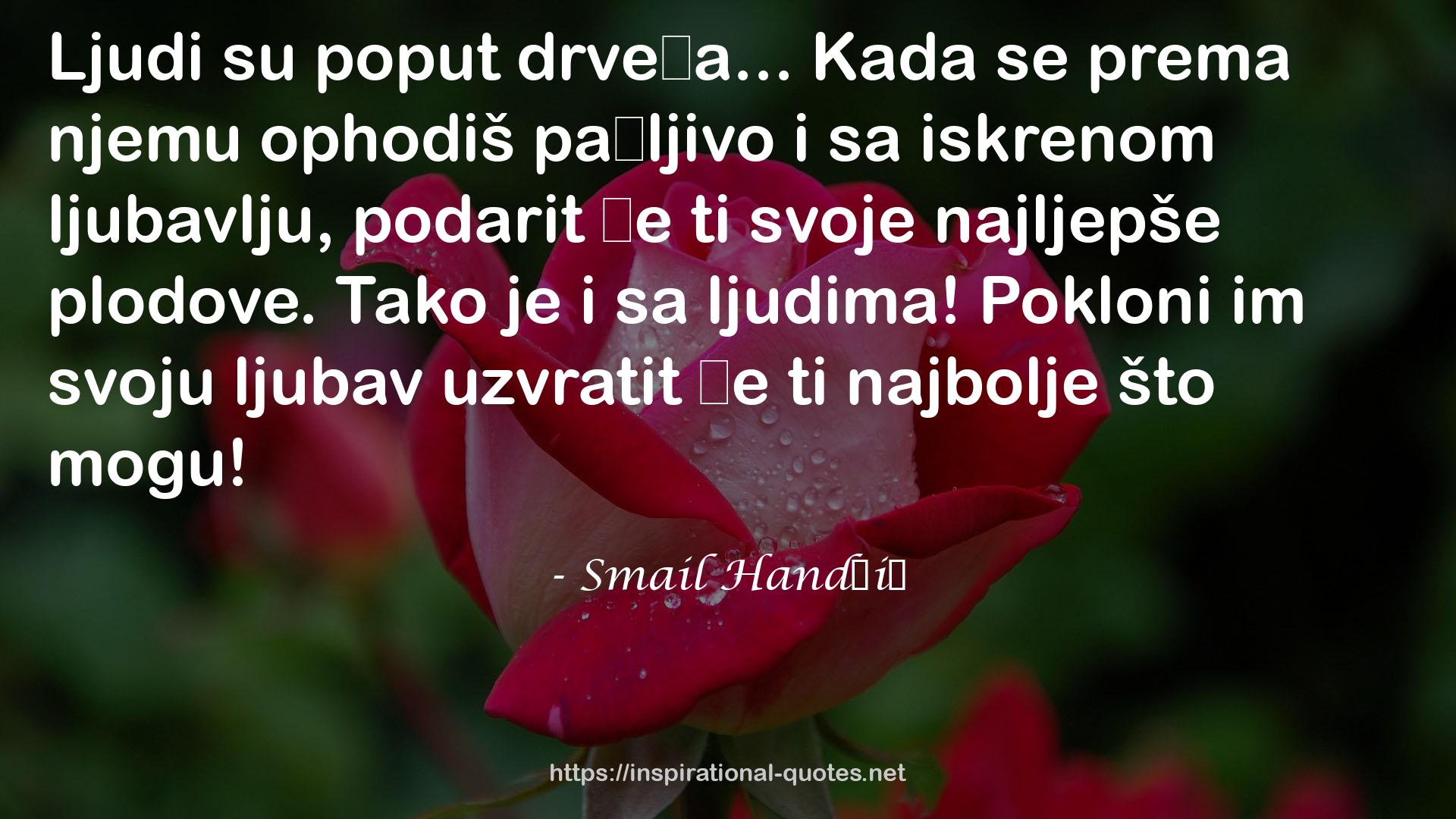 Smail Handžić QUOTES