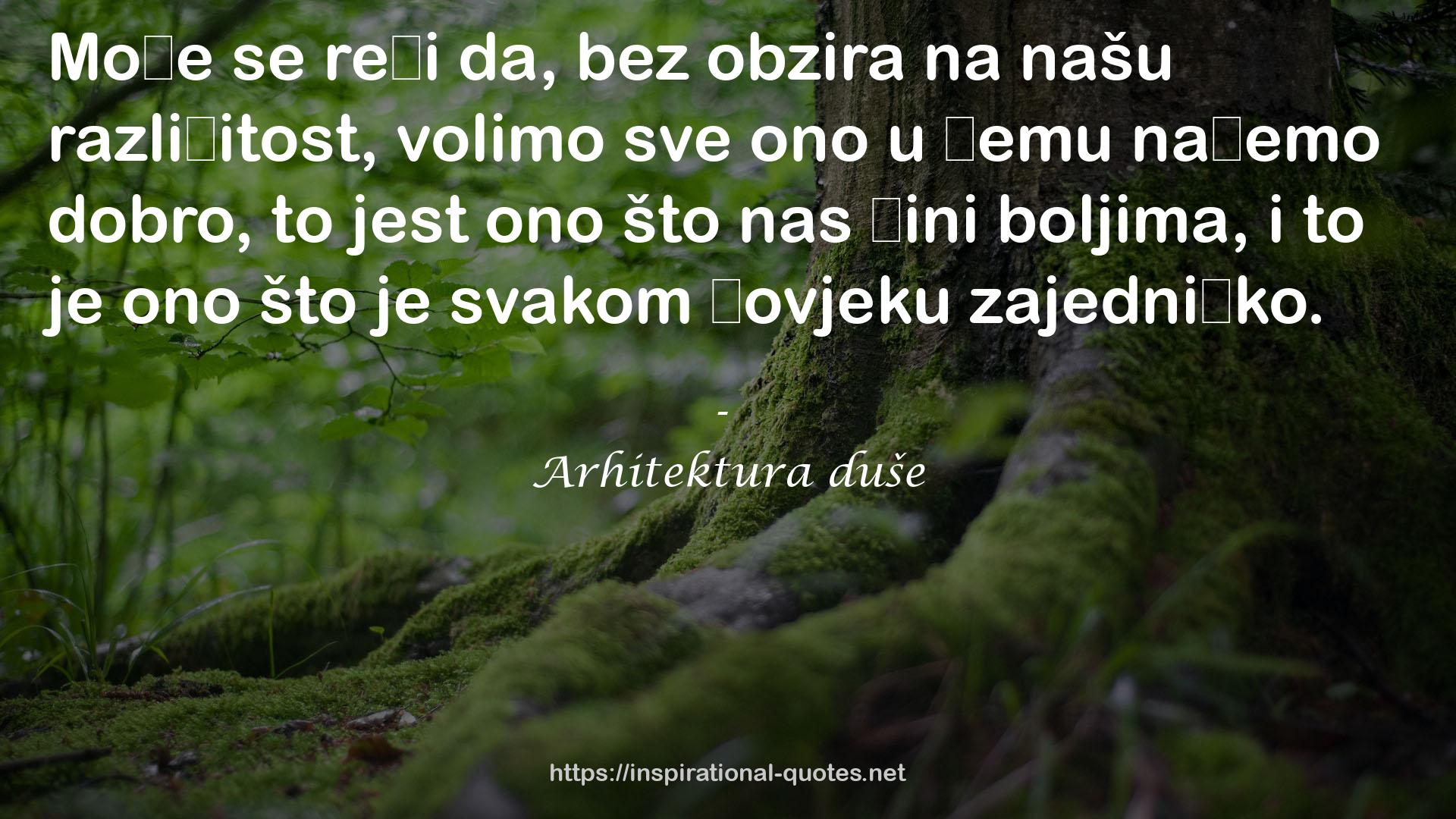 Arhitektura duše QUOTES