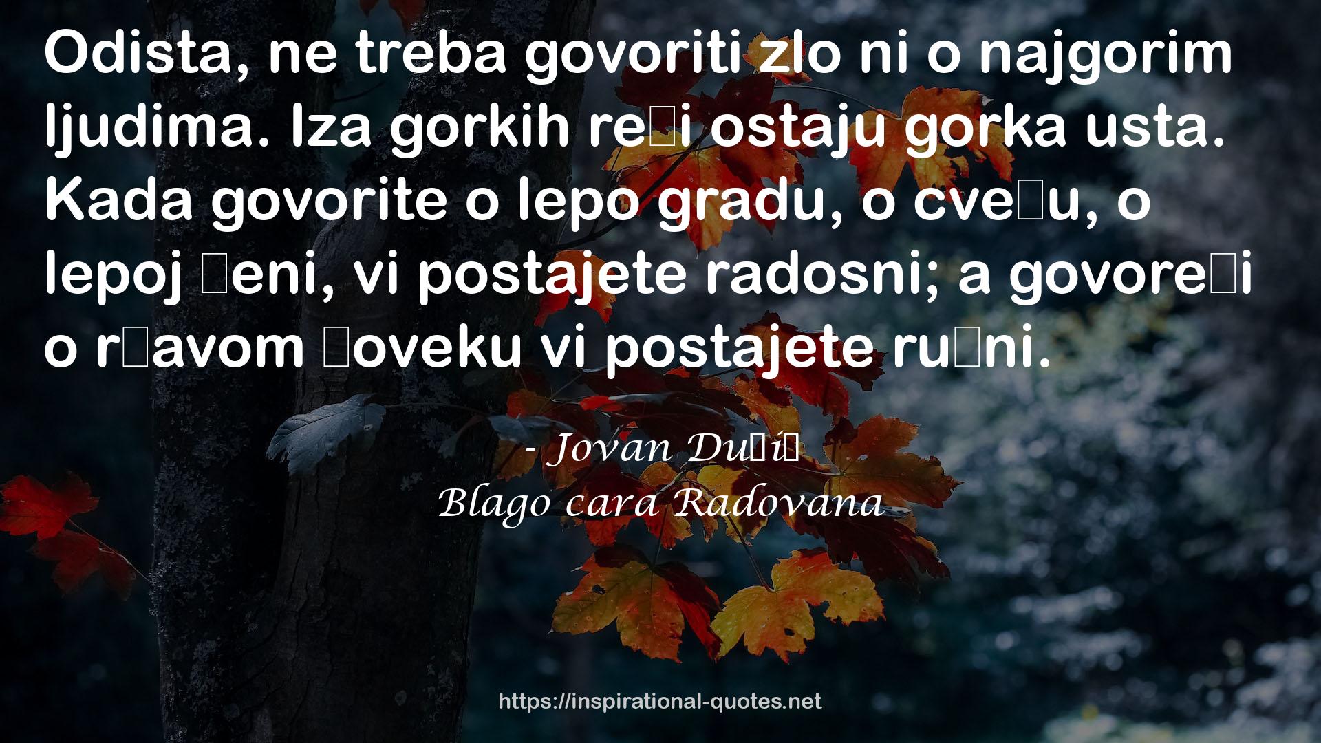 Blago cara Radovana QUOTES