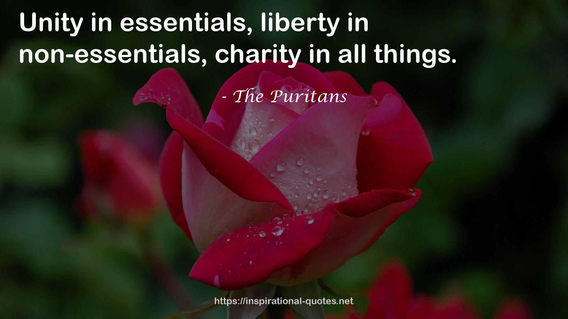 The Puritans QUOTES