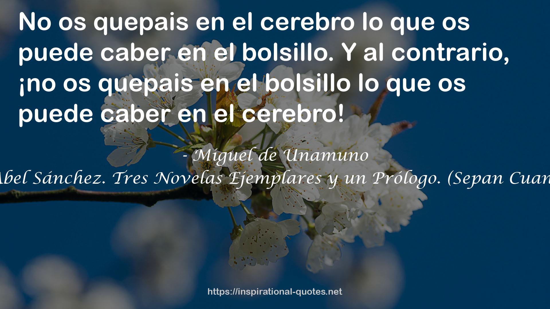 Niebla. Abel Sánchez. Tres Novelas Ejemplares y un Prólogo. (Sepan Cuantos, #388) QUOTES