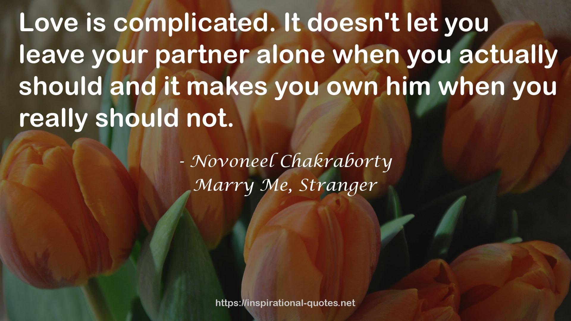 Marry Me, Stranger QUOTES