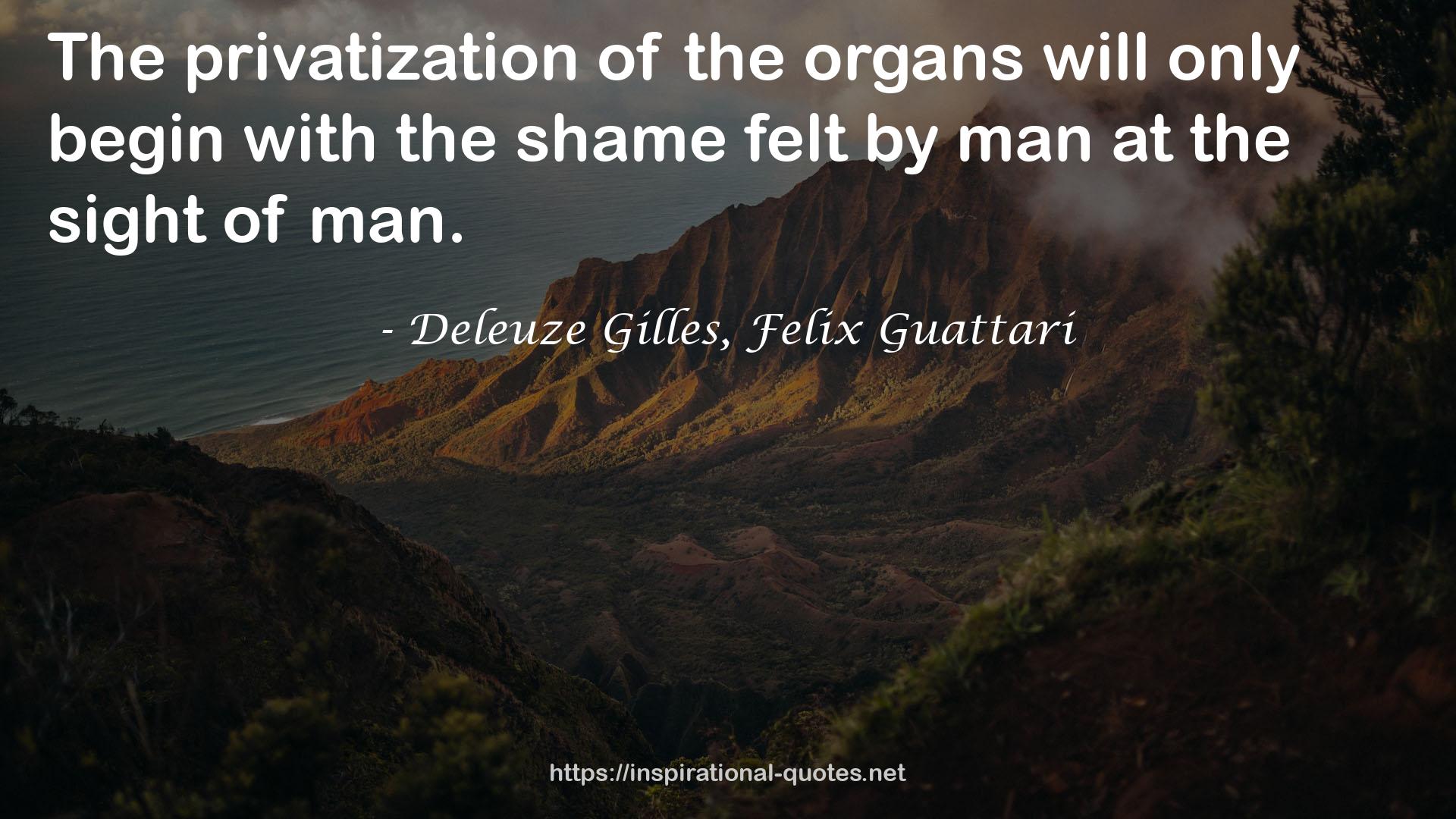 Deleuze Gilles, Felix Guattari QUOTES