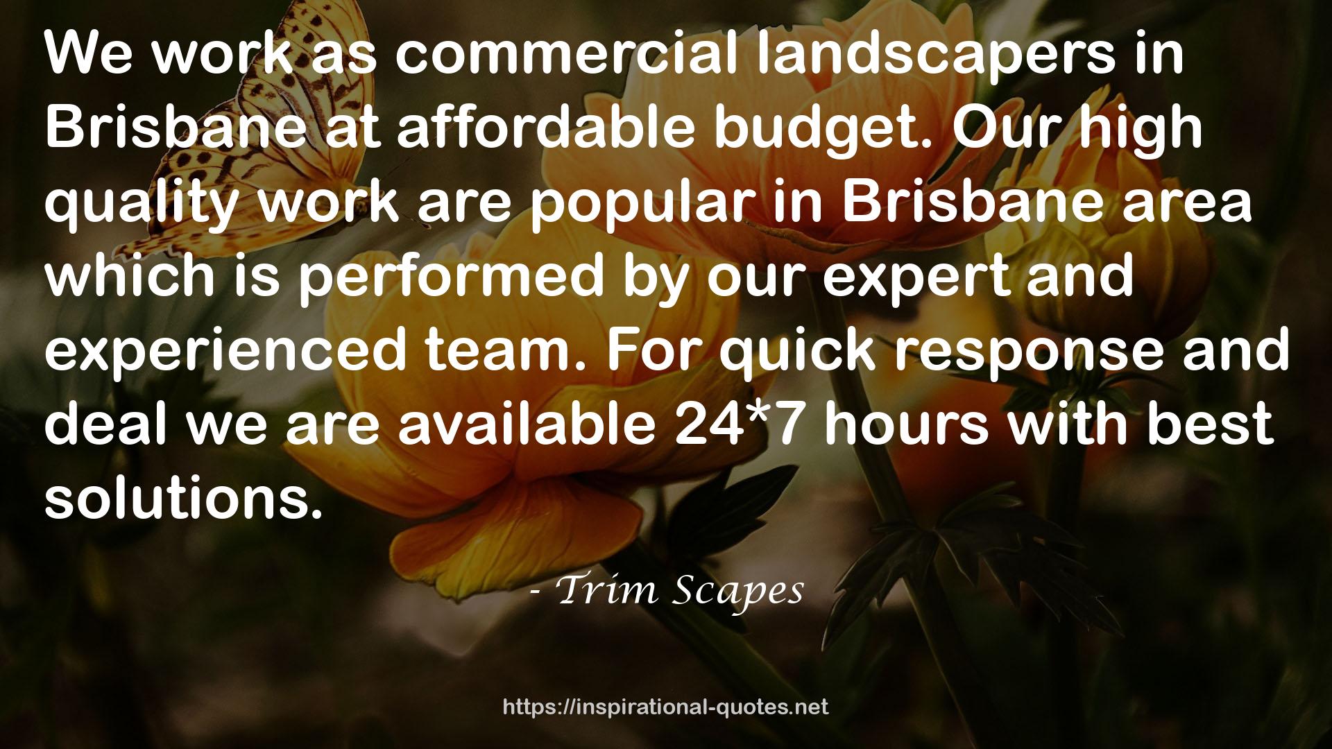 Trim Scapes QUOTES