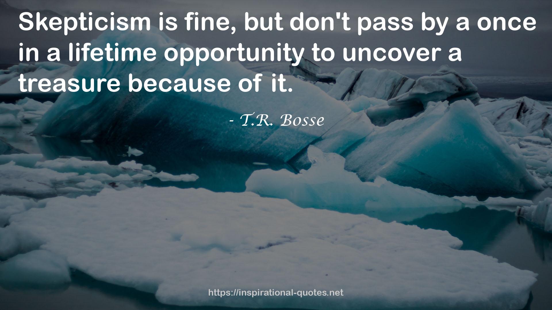 T.R. Bosse QUOTES