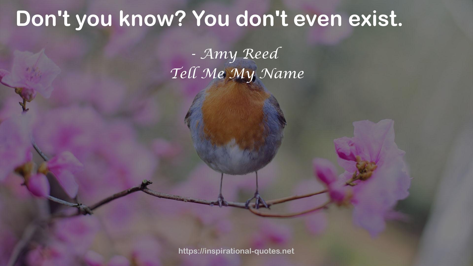 Amy Reed QUOTES
