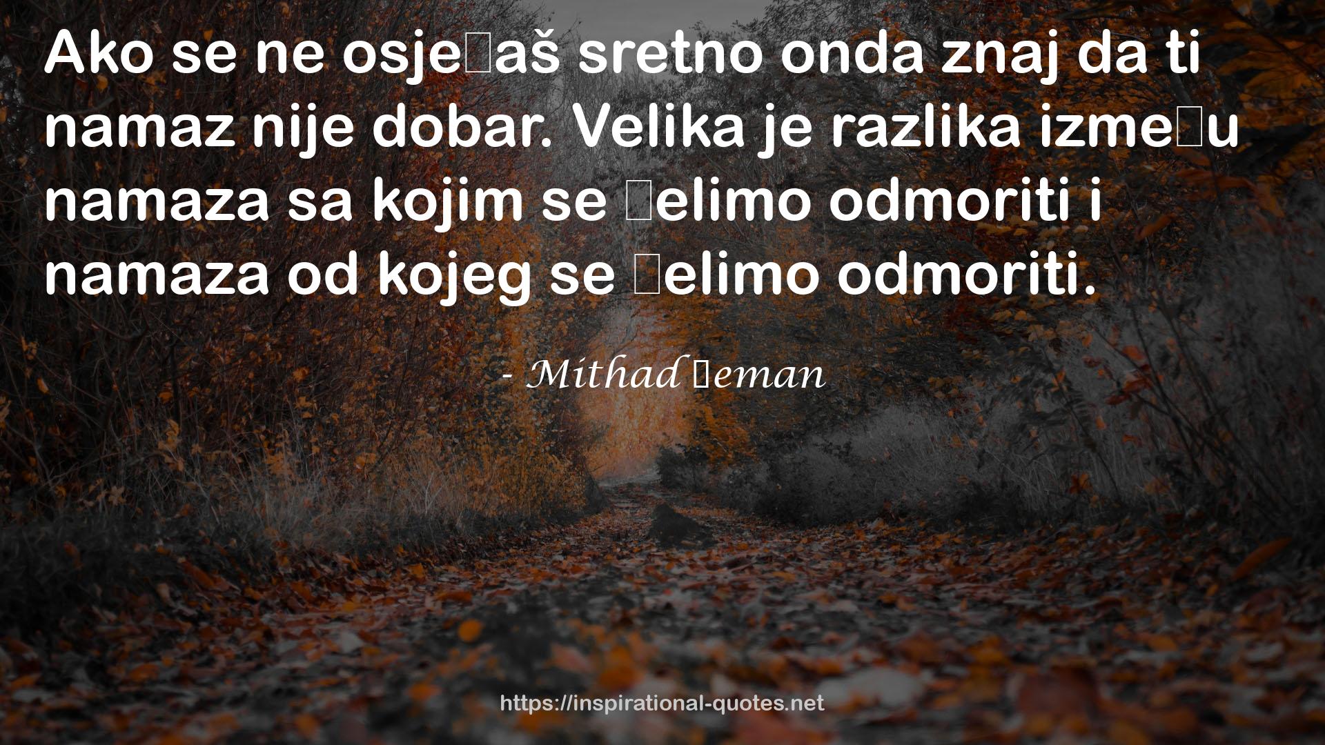 Mithad Ćeman QUOTES