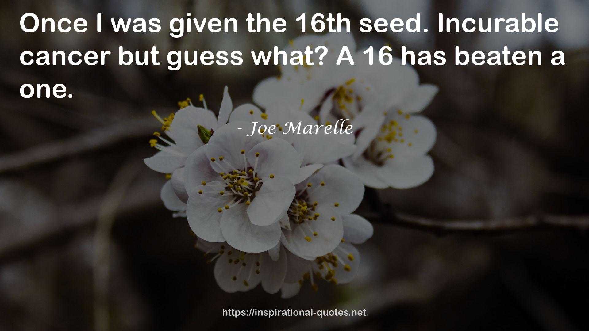 Joe Marelle QUOTES