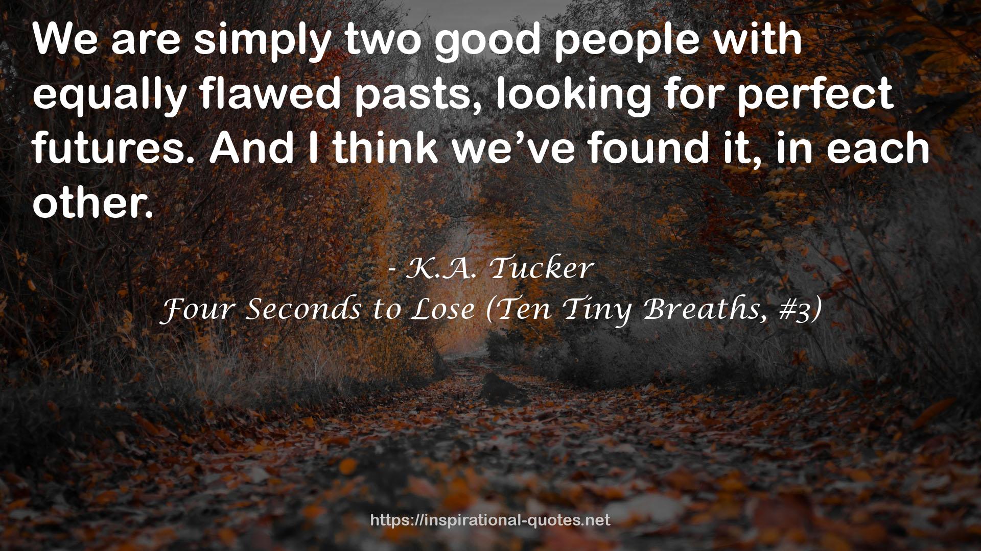 Four Seconds to Lose (Ten Tiny Breaths, #3) QUOTES