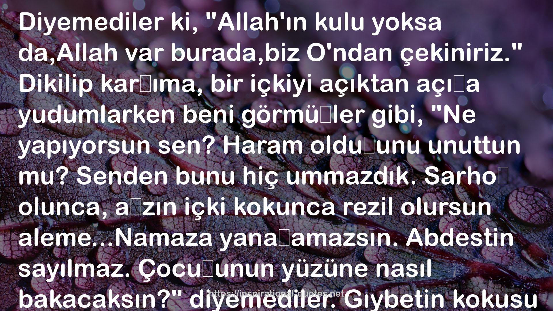 Söz Yangını QUOTES