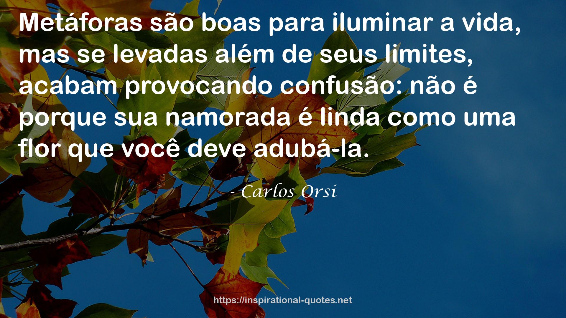 Carlos Orsi QUOTES