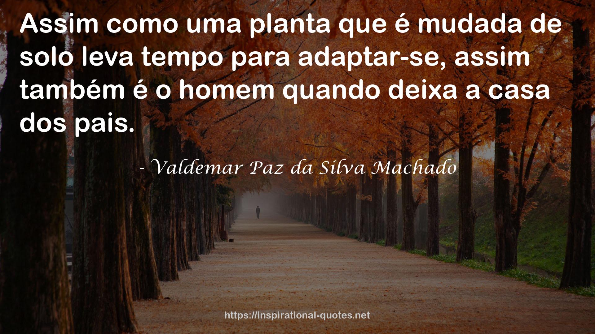 Valdemar Paz da Silva Machado QUOTES
