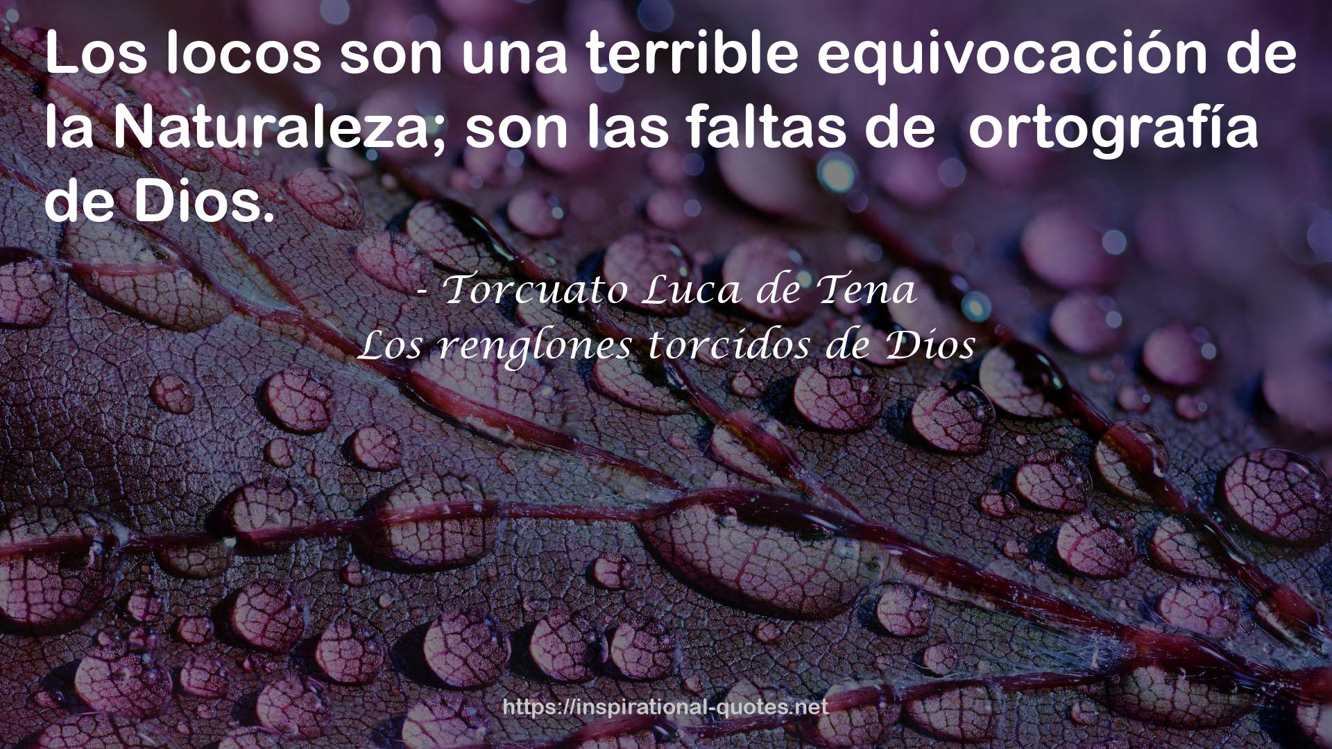 Los renglones torcidos de Dios QUOTES