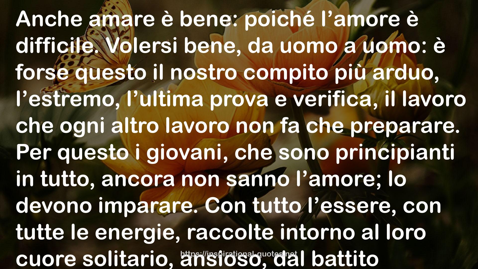 Lettere a un giovane poeta/Lettere a una giovane signora/Su Dio QUOTES