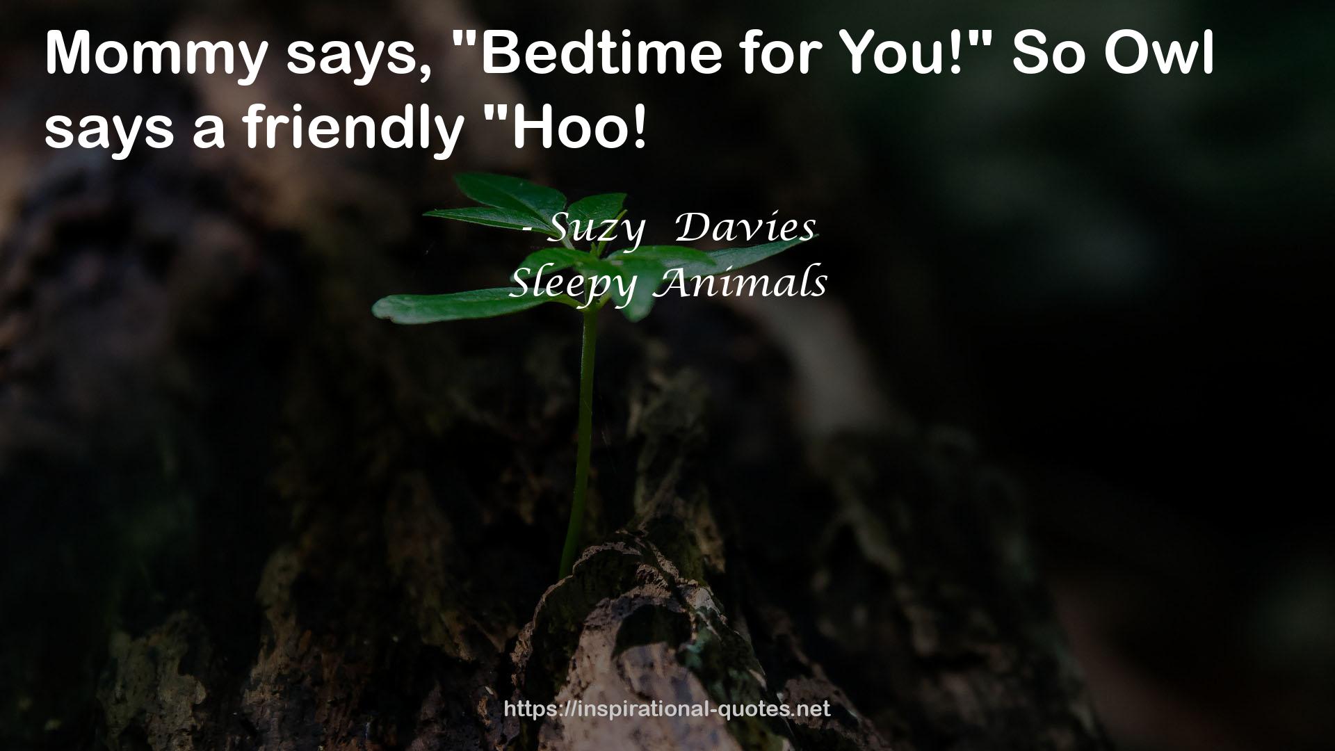 Sleepy Animals QUOTES