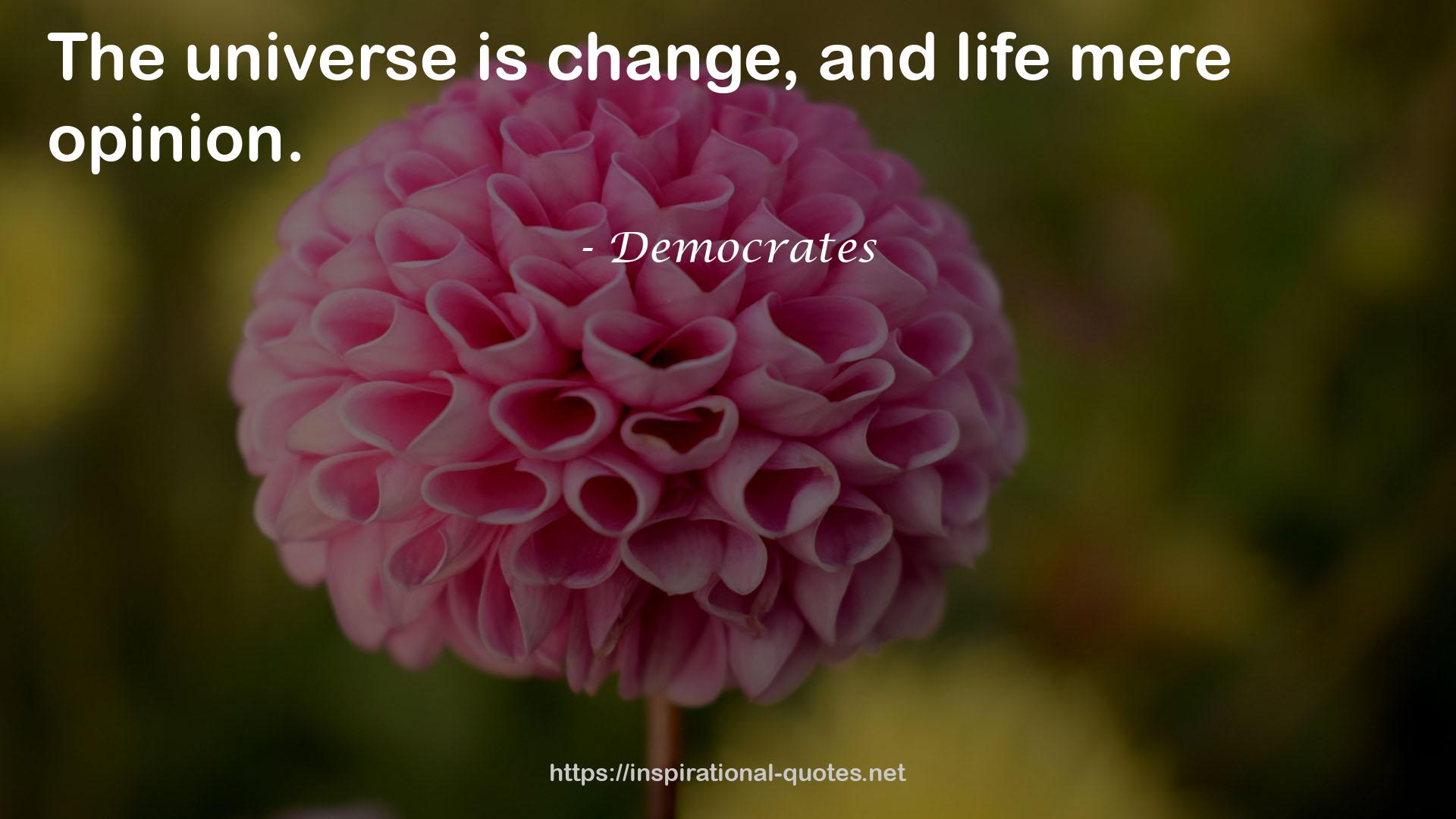 Democrates QUOTES