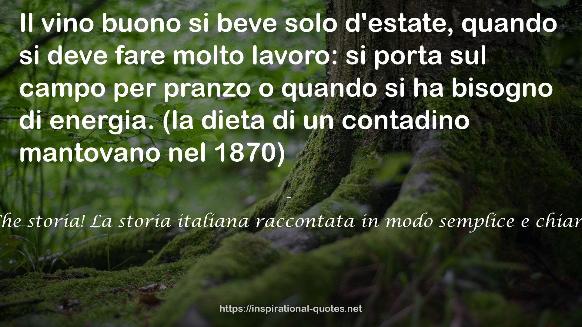 Che storia! La storia italiana raccontata in modo semplice e chiaro QUOTES