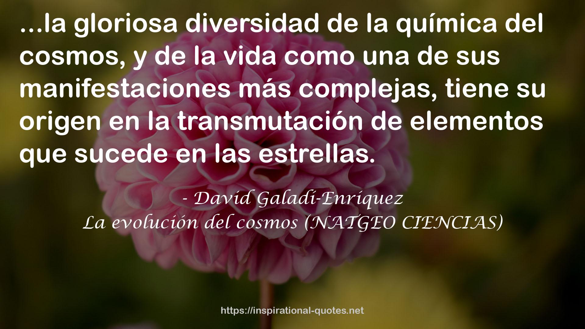 David Galadí-Enríquez QUOTES