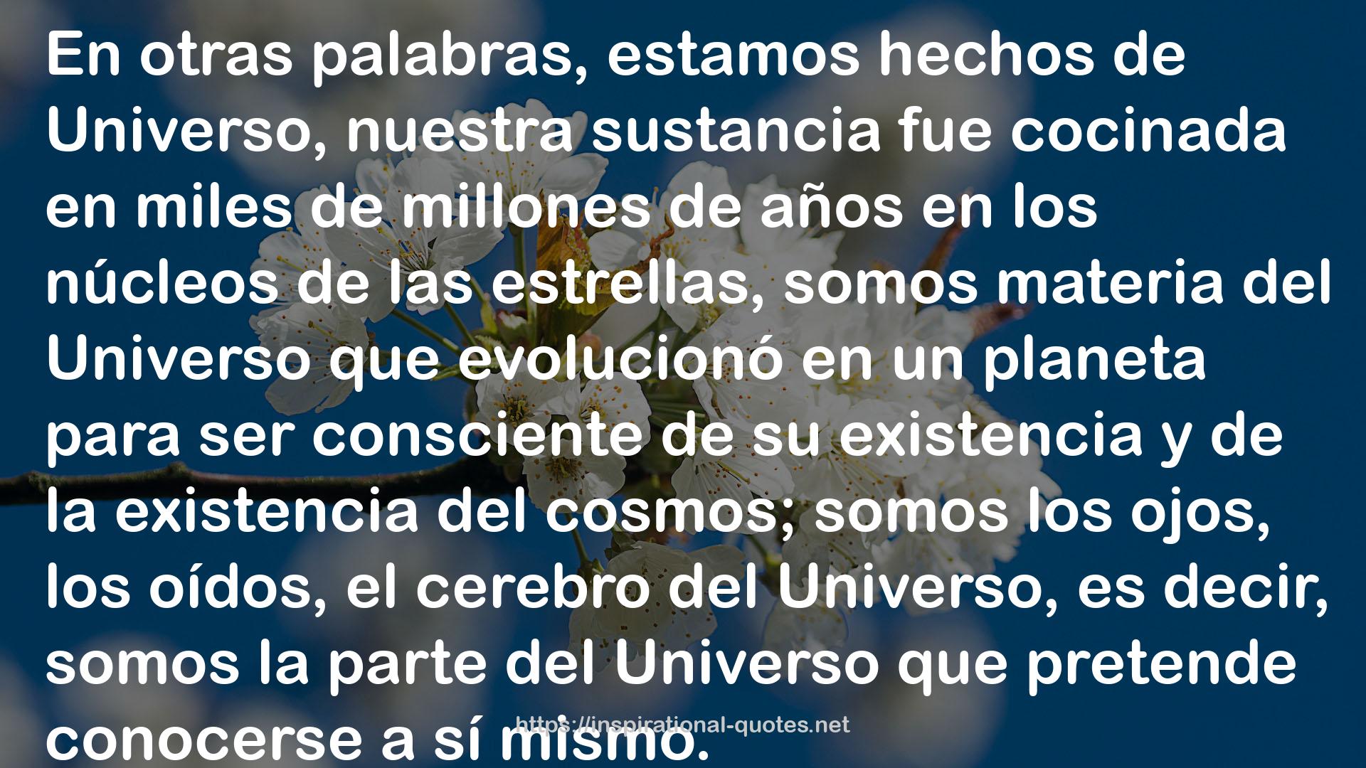 ¿De que esta hecho el universo? Materia  oscura y energía oscura QUOTES