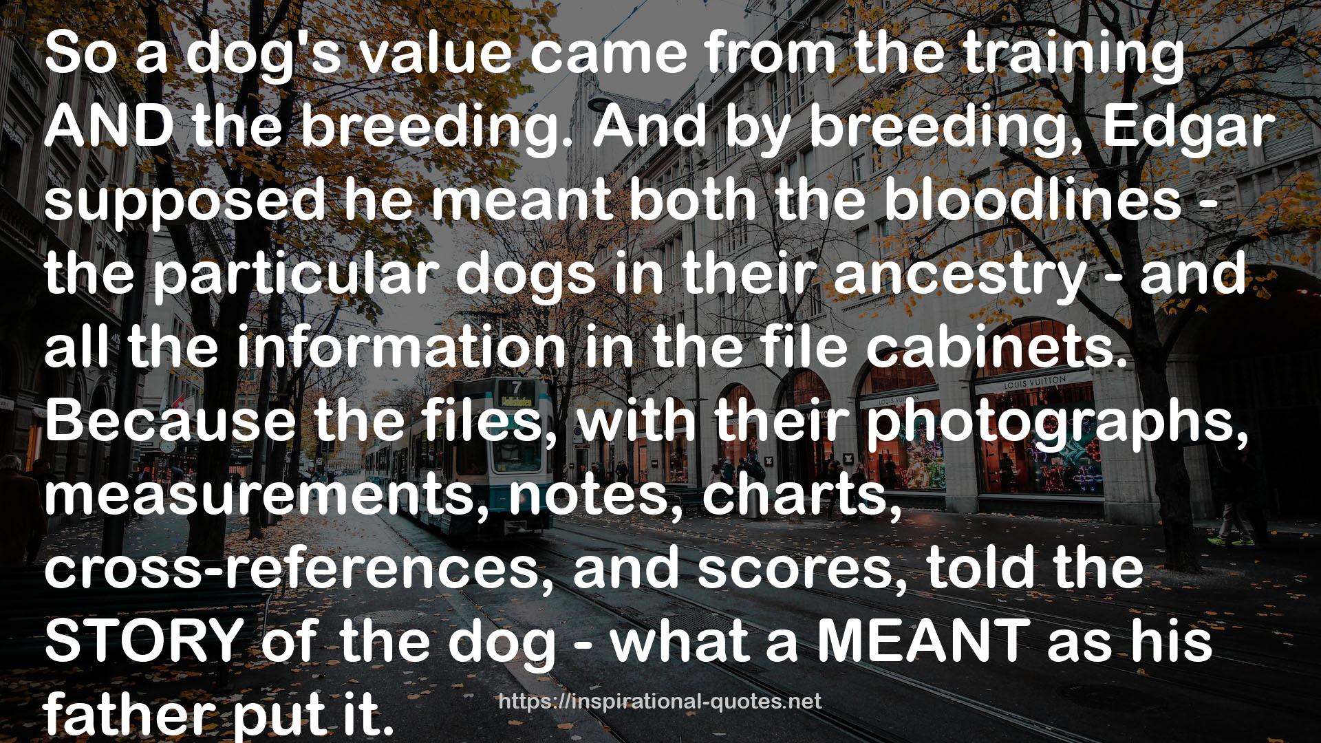 a dog's value  QUOTES