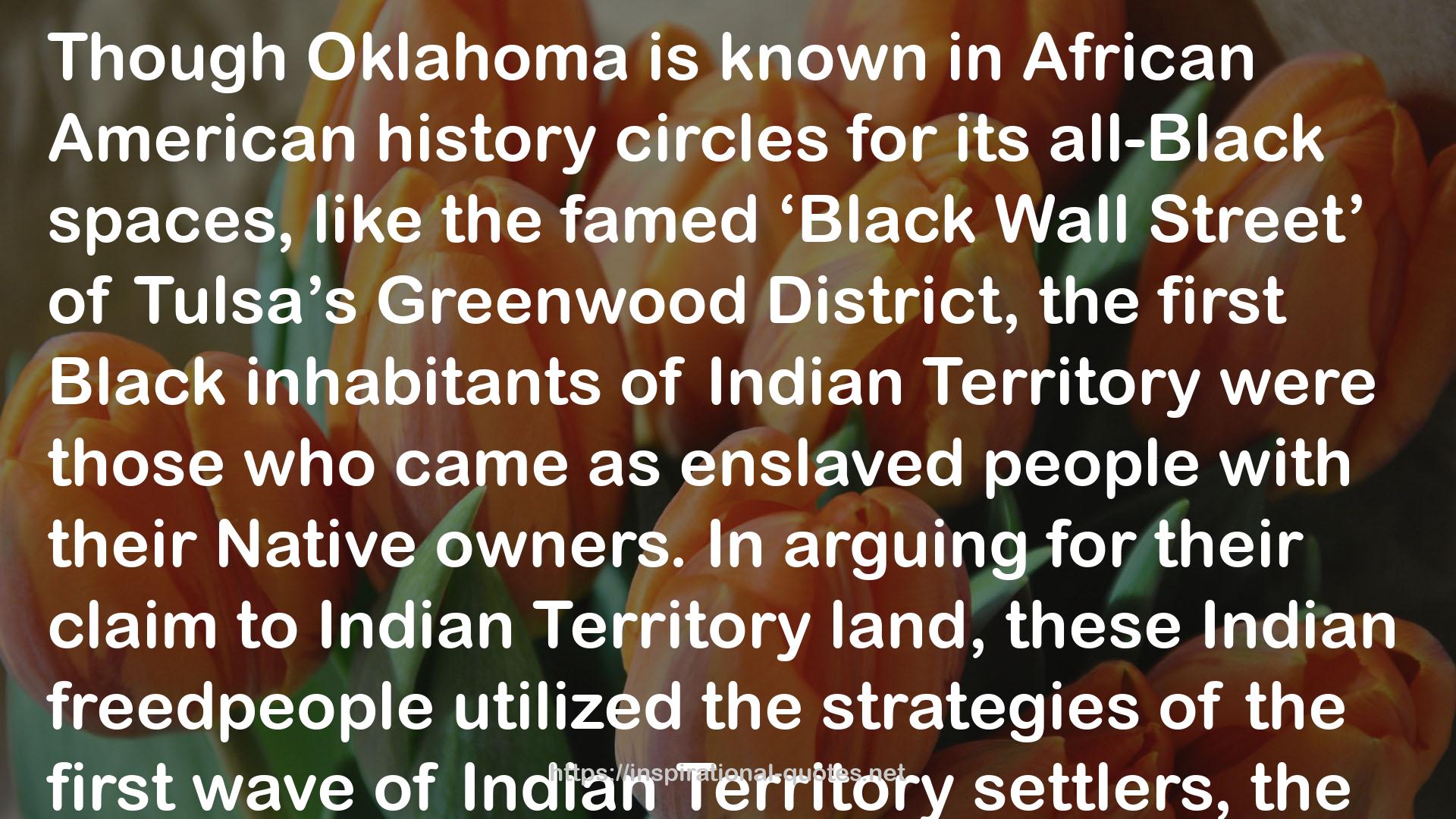 I've Been Here All the While: Black Freedom on Native Land QUOTES